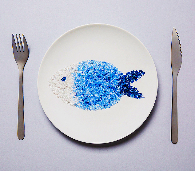 A gyilkos PET palack