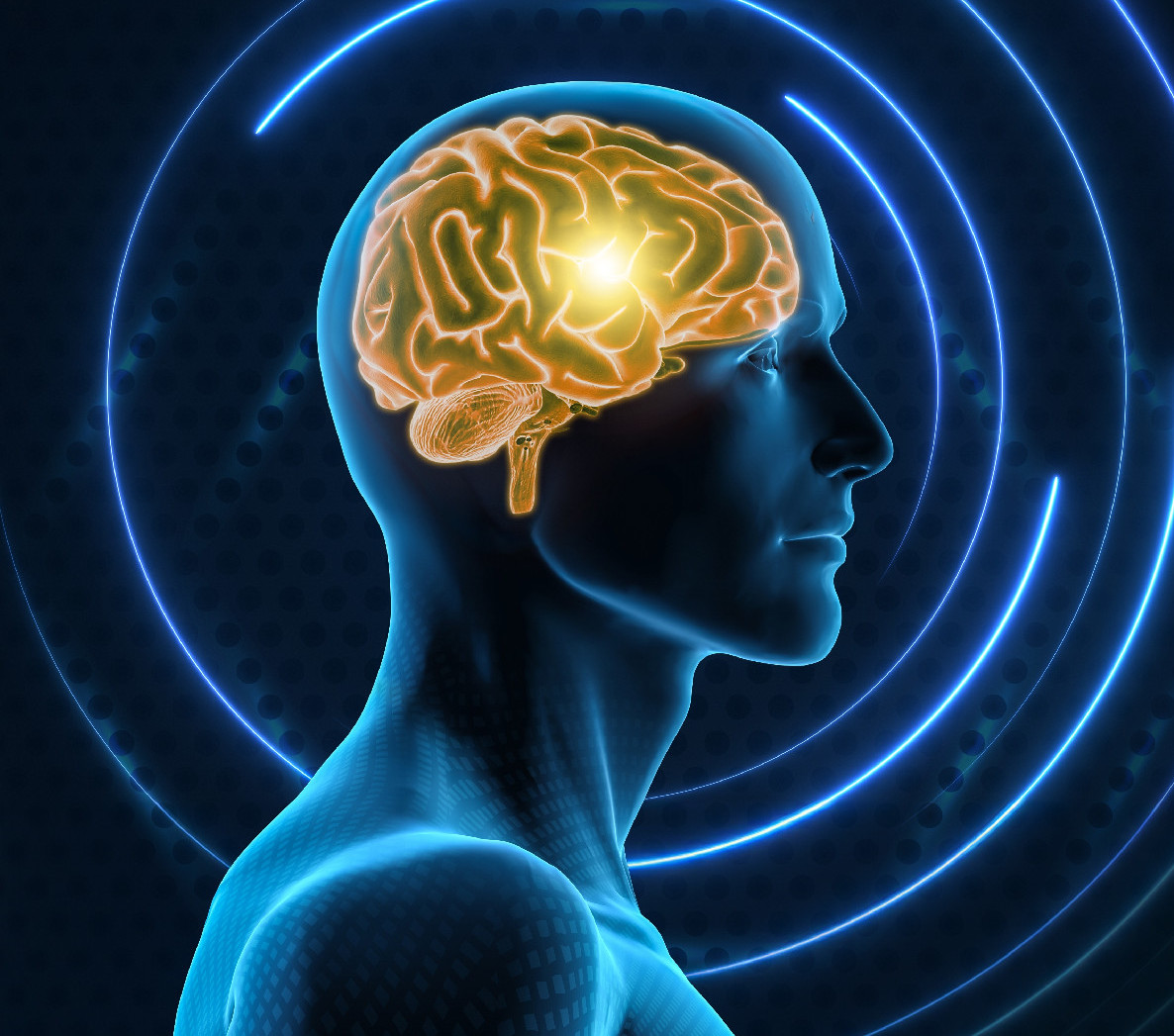 Tudod már, mit vegyél karácsonyra a hippokampuszodnak? Egy kerékpárt!